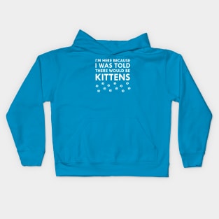 I Was Told There Would Be Kittens Cat Lover Paws Kids Hoodie